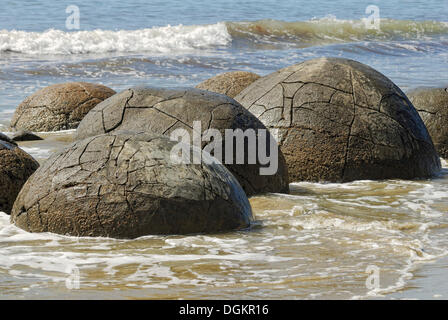 I massi Moeraki, formazione geologica, Moeraki, East Coast, Isola del Sud, Nuova Zelanda Foto Stock