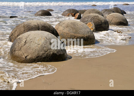 I massi Moeraki, formazione geologica, Moeraki, East Coast, Isola del Sud, Nuova Zelanda Foto Stock