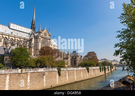 Una vista lungo il fiume Senna accanto alla cattedrale di Notre Dame. Foto Stock