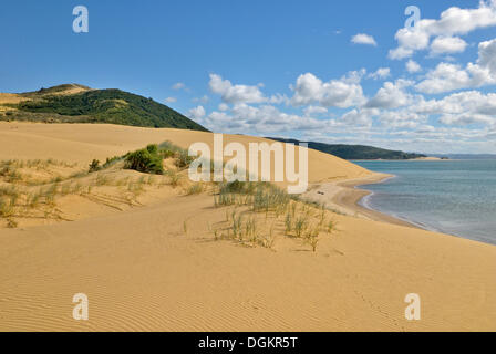 Paesaggio con dune di sabbia su Hokianga Harbour, Opononi, Isola del nord, Nuova Zelanda Foto Stock