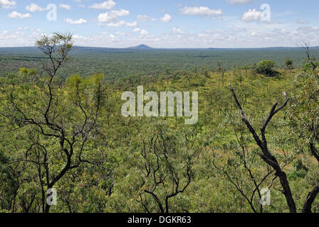 Vista dal vulcano Kalkani attraverso le pianure della McBride Provincia vulcanica, Undara Parco nazionale vulcanico, Undara, Queensland Foto Stock