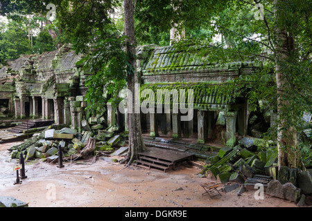 Rovine di Ta Prohm tempio. Foto Stock