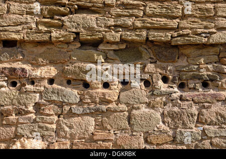 Dettaglio della parete con aperture per la rotonda di travi di supporto, storico insediamento Anasazi, Aztec Ruins National Monument, azteca, Nuovo Messico Foto Stock