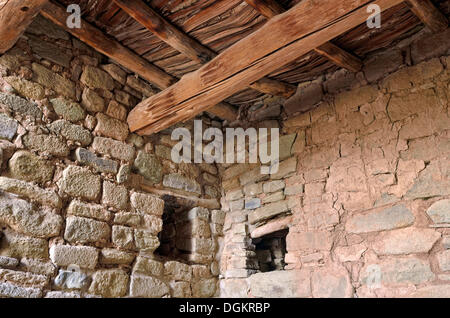 Pareti e soffitto, dettaglio storico insediamento Anasazi, Aztec Ruins National Monument, azteca, Nuovo Messico, STATI UNITI D'AMERICA Foto Stock