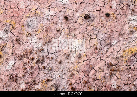 Depositi di sabbia e argilla colorata da diversi minerali, area Tepees, Parco Nazionale della Foresta Pietrificata, Deserto Dipinto, Arizona Foto Stock