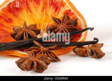 Essiccato fettine di arancio con i semi di anice e baccelli di vaniglia Foto Stock