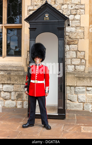 Una guardia che indossa un tradizionale bearskin sta di guardia al di fuori della Jewel House nella Torre di Londra. Foto Stock
