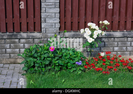 Fiori crescono sul letto vicino al recinto di pietre e tavole di legno Foto Stock