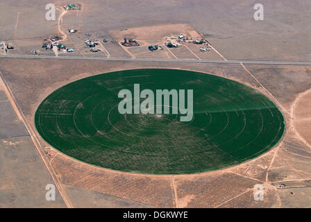 Campo circolare con colture foraggere innaffiati da sistemi di irrigazione nel deserto del New Mexico, Moriarty, Moriarty, Nuovo Messico Foto Stock