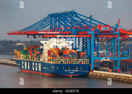 Contenitore della nave 'Thalassai' ancorata al Burchardkai quay, Hamburg, Amburgo, Germania Foto Stock