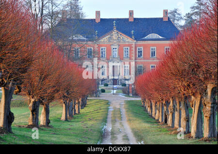 Festone Avenue a Schloss Castello Bothmer, Klütz, Meclemburgo-Pomerania, Germania Foto Stock