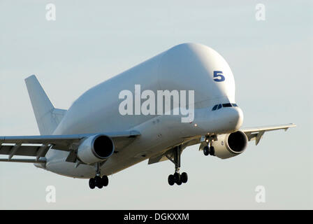 Trasporti aerei Airbus A300-600ST Super Transporter, noto anche come il Beluga, Hamburg, Amburgo, Germania Foto Stock