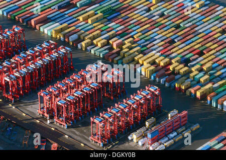 Vista aerea, terminale per container straddle carrier, van carrier o il gantry si solleva, la manipolazione delle merci attrezzature per i contenitori ISO Foto Stock