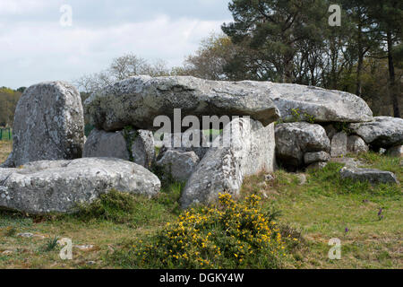 Dolmen, portale tomba, portale grave, a Carnac, Dipartimento Morbihan, in Bretagna, in Francia, in Europa Foto Stock