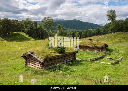 Viking grave colline, prati e boschi, ricostruito case log, XI secolo, anteriore, Vang vicino Oppdal, Sør-Trøndelag Foto Stock