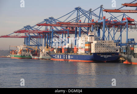 Nave container nel porto di Amburgo, Amburgo Foto Stock