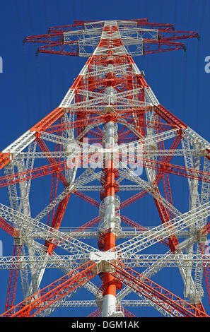 Massima potenza pole in Europa, Hetlingen, Schleswig-Holstein Foto Stock