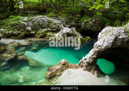 Sloncek,l'elefante, una formazione naturale in mostnica Gorge, il parco nazionale del Triglav, Slovenia, europa Foto Stock