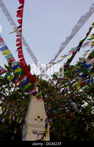 Stupa e bandiere di preghiera nel Whochen Thokjay Choyaling Monastero, Swayambhu, Nepal, Asia Foto Stock