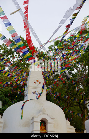 Stupa e bandiere di preghiera nel Whochen Thokjay Choyaling Monastero, Swayambhu, Nepal, Asia Foto Stock