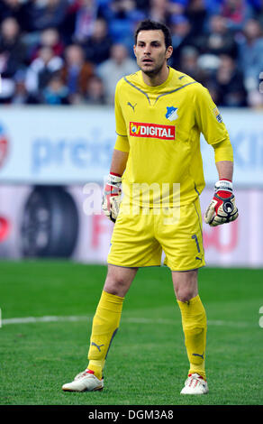 Daniel Haas, portiere di TSG Hoffenheim 1899 Foto Stock