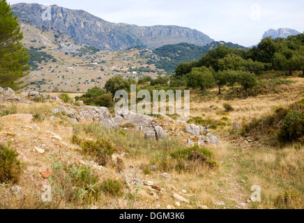 Paesaggio paesaggio Sierra de Grazalema e la provincia di Cadiz Cadice Spagna Foto Stock