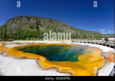 Piscina smeraldo, geyser, area di drenaggio con una passerella, colorato di batteri termofili, microrganismi, nero bacino di sabbia Foto Stock