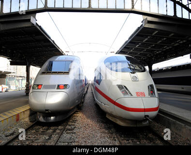 TGV francese e tedesco dei treni ad alta velocità ICE presso la stazione Gare de l'Est, Parigi alla Stazione Ferroviaria Est, Parigi, Francia, Europa Foto Stock