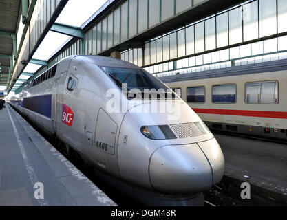 TGV francese e tedesco dei treni ad alta velocità ICE a Stoccarda Stazione Centrale, Baden-Wuerttemberg Foto Stock