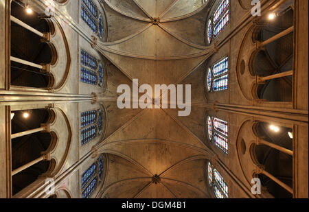 Interno, struttura del soffitto, la cattedrale di Notre Dame de Paris, Ile de la Cité, Parigi, Francia, Europa Foto Stock