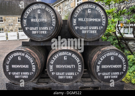 Whisky di barili a Glenfiddich distillery a Dufftown,Moray ,Scotland Foto Stock