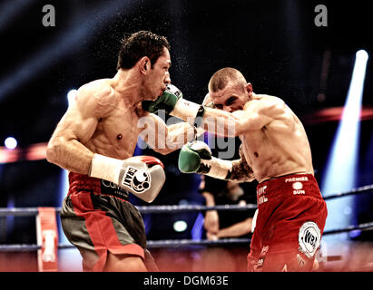 Felix Sturm, GER, vs. Martin Murray, GBR, SAP Arena di Mannheim, Baden-Wuerttemberg Foto Stock