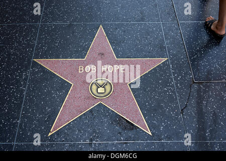 Terrazzo star per artista Bob Hope, televisione categoria, la Walk of Fame, Hollywood Boulevard, Hollywood, Los Angeles, California Foto Stock