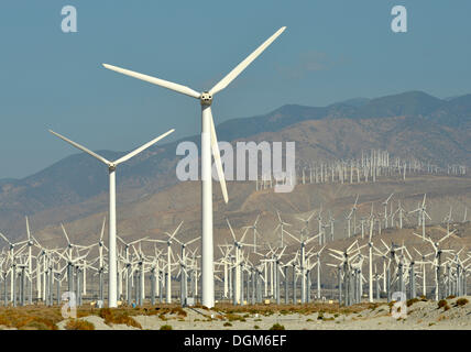 L'energia eolica, San Gorgonio Pass Wind Farm, azionato dalla ExxonMobil, uno dei tre più grandi parchi eolici negli Stati Uniti Foto Stock