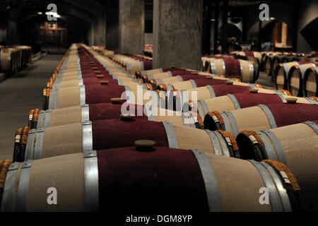 Botti di rovere francese nella cantina di invecchiamento del Robert Mondavi Winery, Napa Valley, California, Stati Uniti d'America Foto Stock