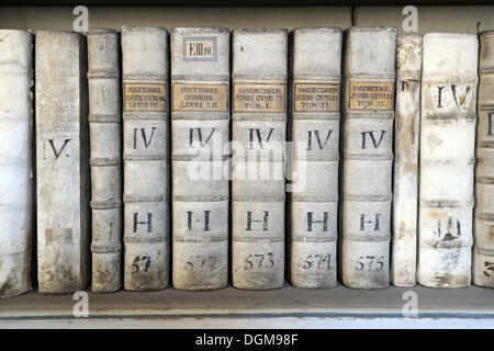 Molto vecchi libri nella biblioteca del Monastero di Strahov, Hrad&#269;qualsiasi, il Castello di Praga district, Praga, Repubblica Ceca Foto Stock