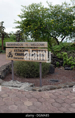 Area di ingresso della stazione di Ricerca Charles Darwin, Isola di Santa Cruz, Galapagos, Sito Patrimonio Mondiale dell'UNESCO, Ecuador Foto Stock