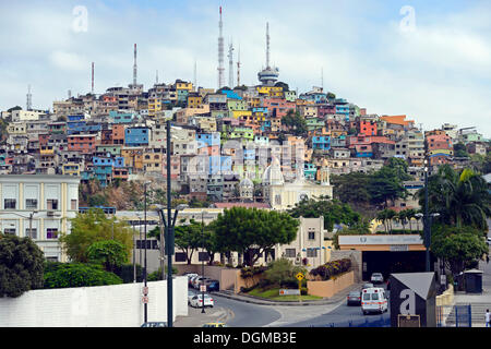 Case colorate sul Cerro del Carmen, Guayaquil, Ecuador, Sud America Foto Stock