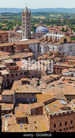 Duomo di Siena - Italia Foto Stock