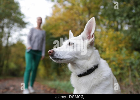 Donna all aperto con un cane al guinzaglio Foto Stock