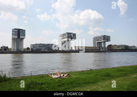 Porto Rheinauhafen dal Poller Wiesen golene, due donne a prendere il sole sulle rive del Reno, Colonia, nella Renania Foto Stock