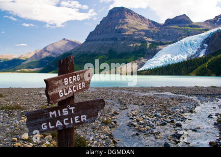 Vista del lago di Berg e Berg ghiacciaio, Montagne Rocciose, il Monte Robson National Park, British Columbia, Canada Foto Stock