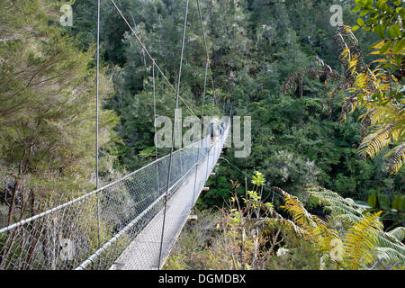 Un escursionista su un ponte sopra il fiume cade, il Parco Nazionale Abel Tasman Nelson, Isola del Sud, Nuova Zelanda Foto Stock