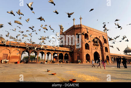 Cancello principale del venerdì moschea Jama Masjid, la Vecchia Delhi, Delhi, Uttar Pradesh, India del Nord, India, Asia del Sud, Asia Foto Stock