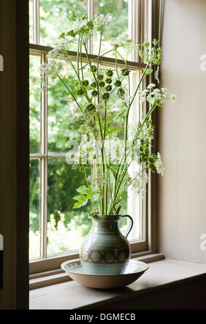 I fiori sul davanzale in casa di tessuto designer Richard Smith in East Sussex Foto Stock