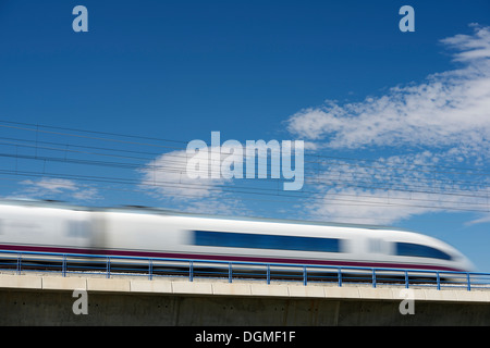 Vista di un treno ad alta velocità attraversando un viadotto a El Burgo de Ebro, Saragozza, Aragona, Spagna. AVE Madrid Barcellona Foto Stock