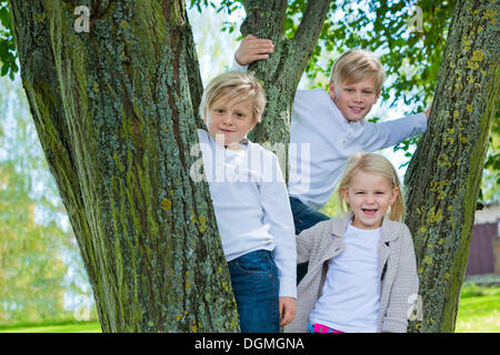 Tre bambini in piedi su un albero Foto Stock