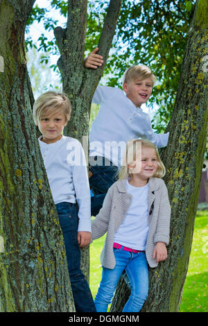 Tre bambini in piedi su un albero Foto Stock