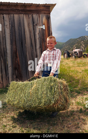 Stati Uniti d'America, Colorado, ragazzo la raccolta di fieno Foto Stock