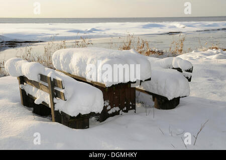 Luogo di riposo nella neve, Ystad, Skåne, Svezia, Europa Foto Stock
